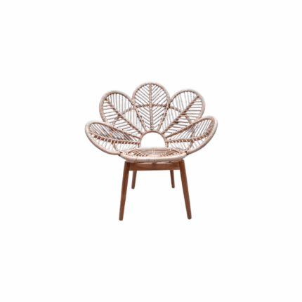 Peacock Chair